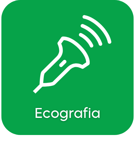 Ecografia