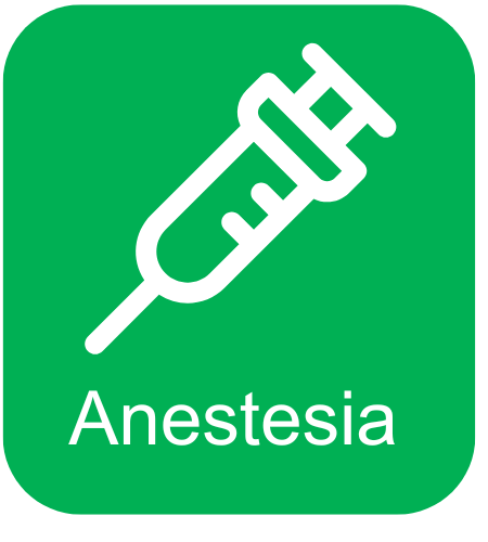 Anestesia