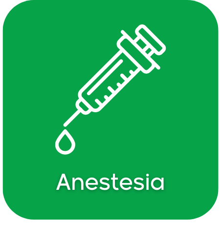 Anestesia