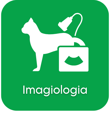 Imagiologia