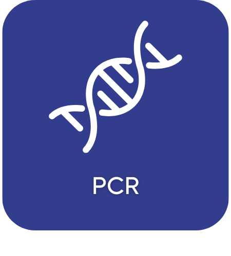PCR