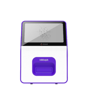InMorph